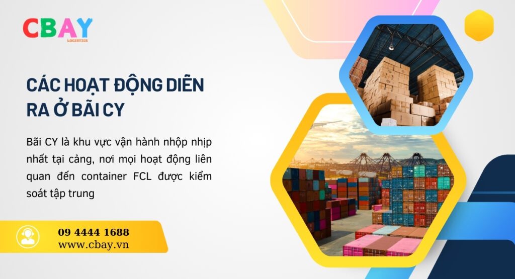Các hoạt động diễn ra ở bãi CY