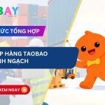 nhập hàng Taobao chính ngạch